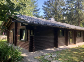 Wooden bungalow with oven, in Oberharz near a lake